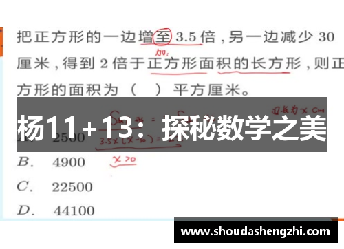 杨11+13：探秘数学之美